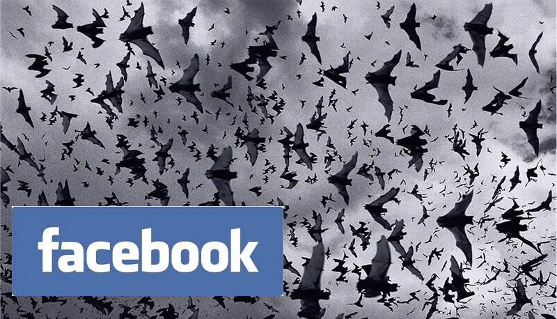 facebook ecopsychoanalysis